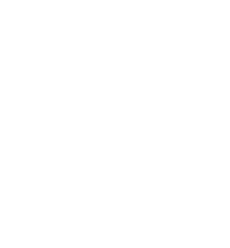 ADL a Zavidovici